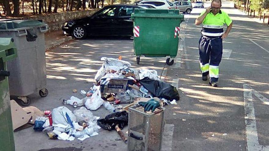 Arriba, el operario que rescató al gato se vio obligado a vaciar por completo el contenedor para poder sacar al animal. A la izquierda: la cría, atrapada in extremis cuando escapaba de la jaula, diseñada para gatos más grandes, por los agujeros de arriba.