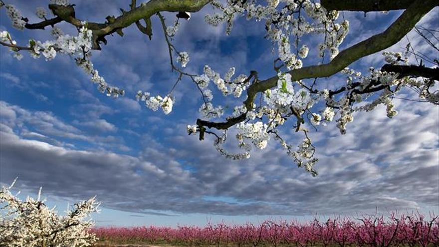 Valdelacalzada celebra la XV edición de ‘Valdelacalzada en Flor’