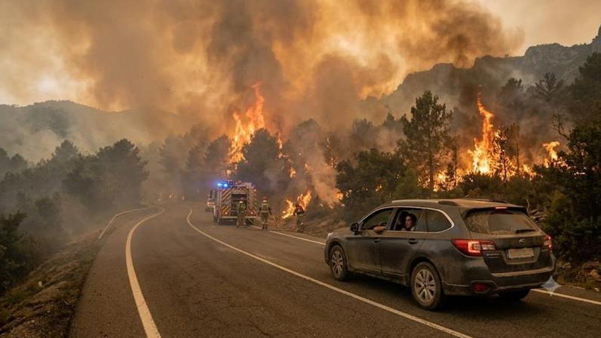Un coche llega por carretera a una zona con un incendio forestal sobre el que ya trabajan los bomberos.