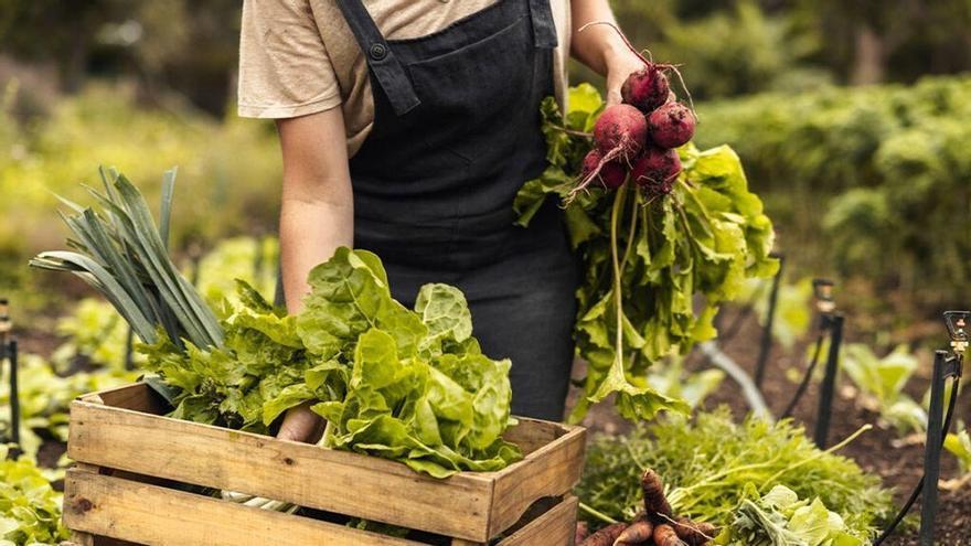 BBVA impulsa la PAC 2026 con soluciones de financiación y tecnología para agricultores y ganaderos españoles