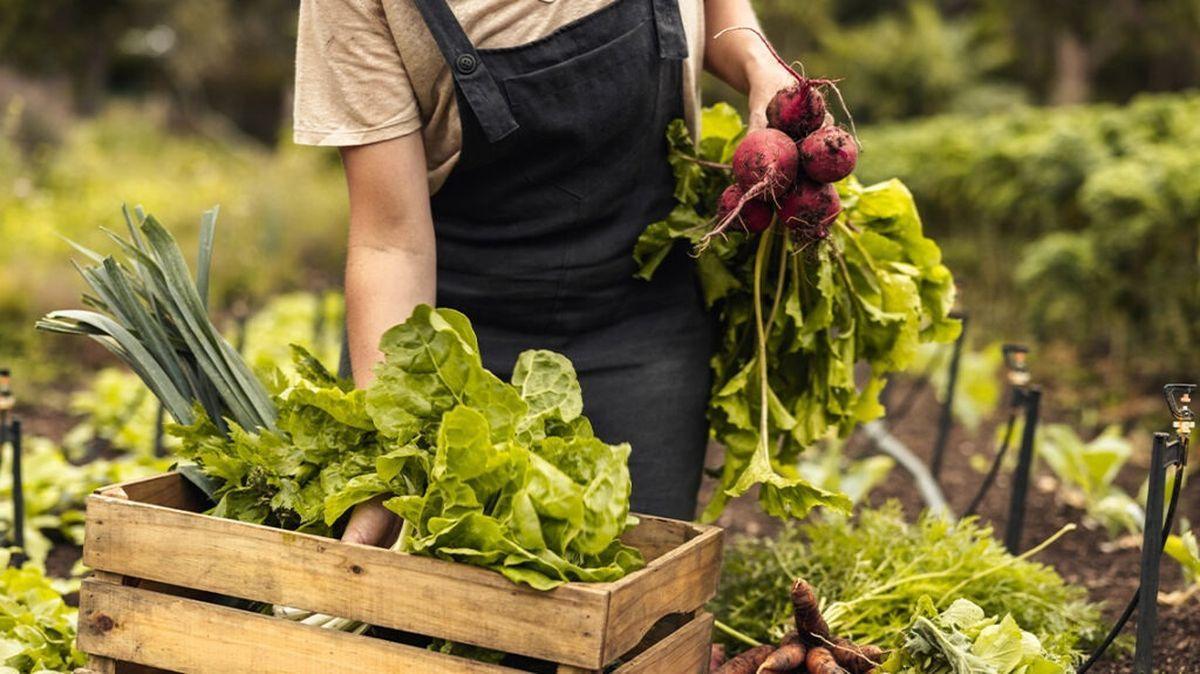 La entidad financiera aporta medidas para el sector agrario.