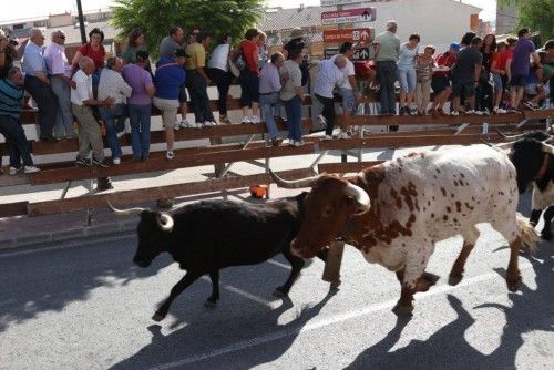 Segundo Encierro de las Fiestas de Moratalla por vereda