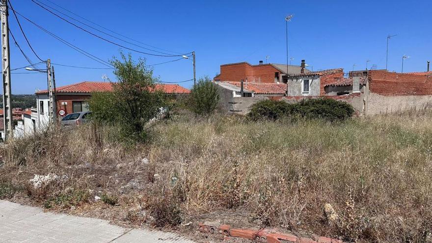 El Ayuntamiento de Zamora valora limpiar el solar de San Frontis de manera subsidiaria