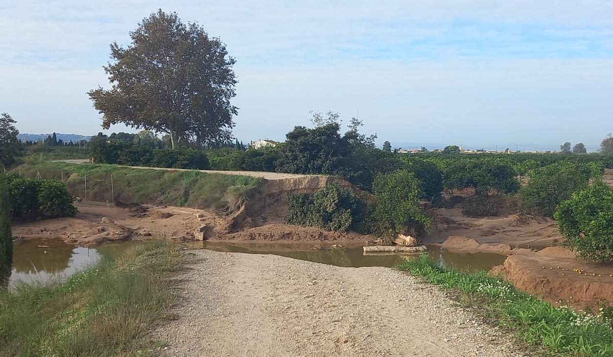 La crecida del Xúquer rompió el día de la dana la mota de protección, que ha sido reparada por la CHJ.