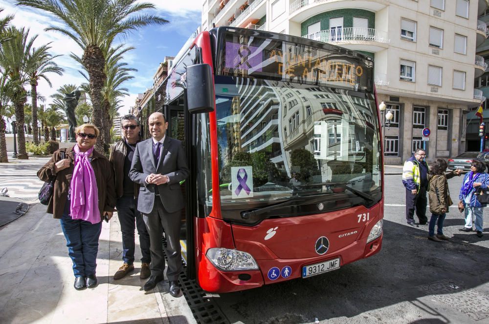El Ayuntamiento de Alicante se suma al Día Internacional de la Mujer con el lazo morado en todos los autobuses del Transporte Público.