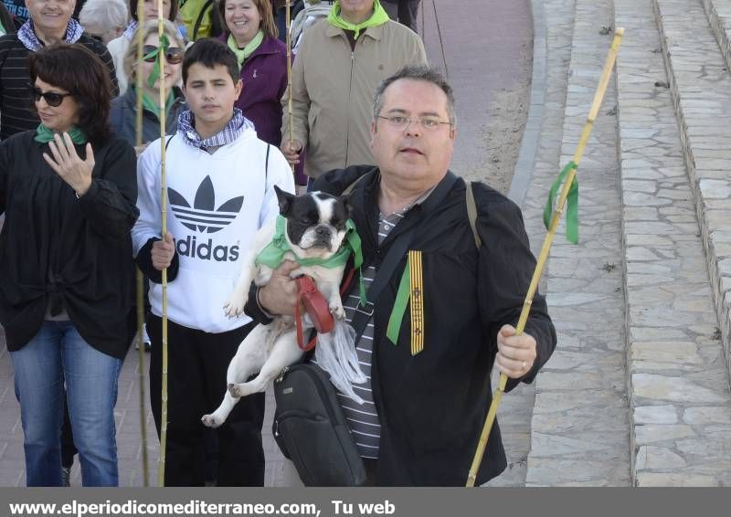 GALERÍA DE FOTOS - Romería Magdalena 2014 (3)