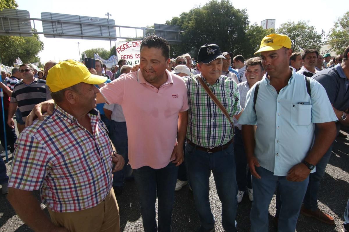 Córdoba se suma a la gran manifestación del olivar en Madrid