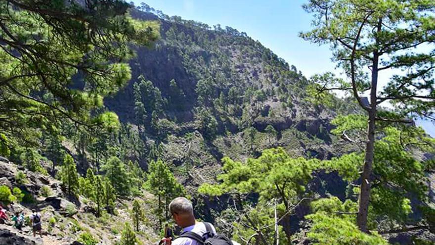 Una joya escondida en Gran Canaria: la ruta que te lleva a cascadas y un lago verde