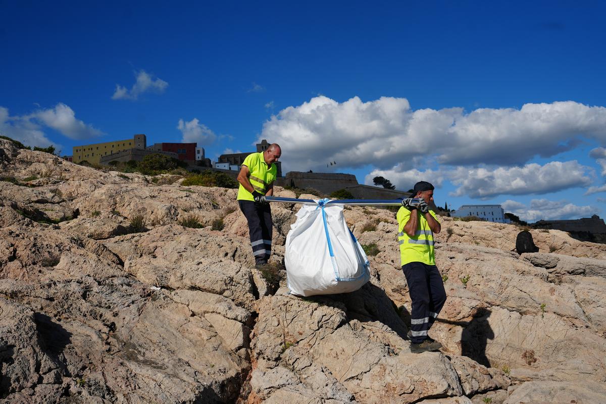 Retirada de los sacos