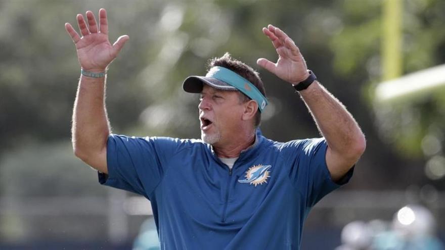 Dimite el técnico de los Miami Dolphins por un vídeo en el que esnifa cocaína