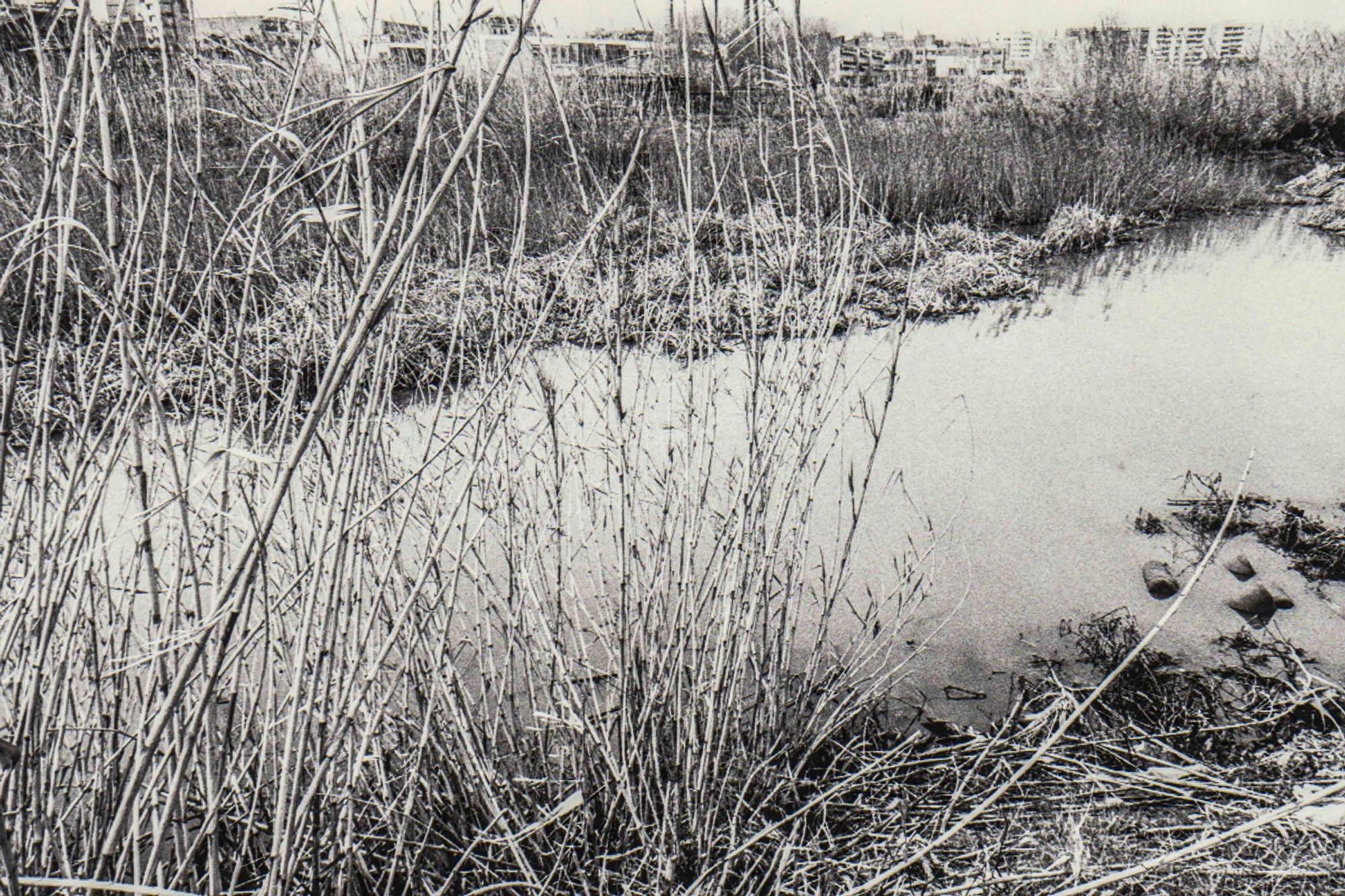 Así era el rio Turia en València antes de convertirse en un jardín