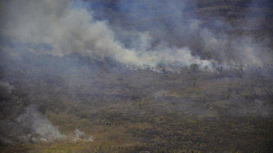 Jóvenes bolivianos salen a las calles para protestar por los incendios forestales