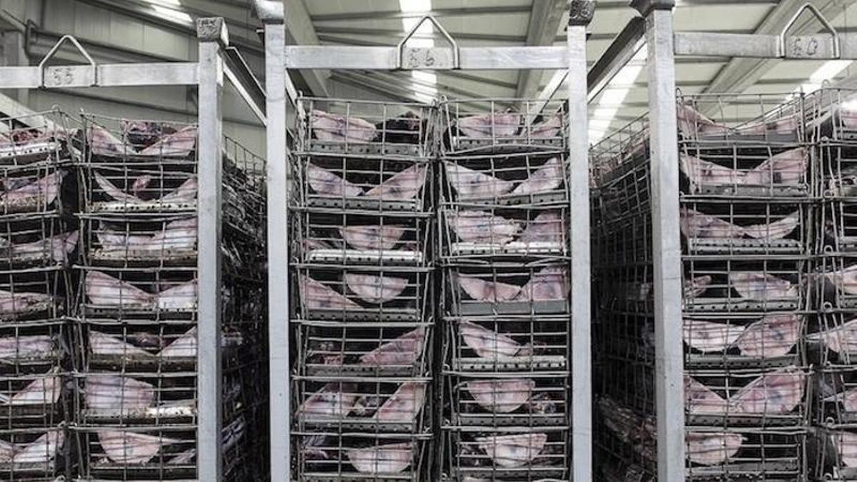 Actemsa pide concurso voluntario al fracasar la reestructuración de su deuda