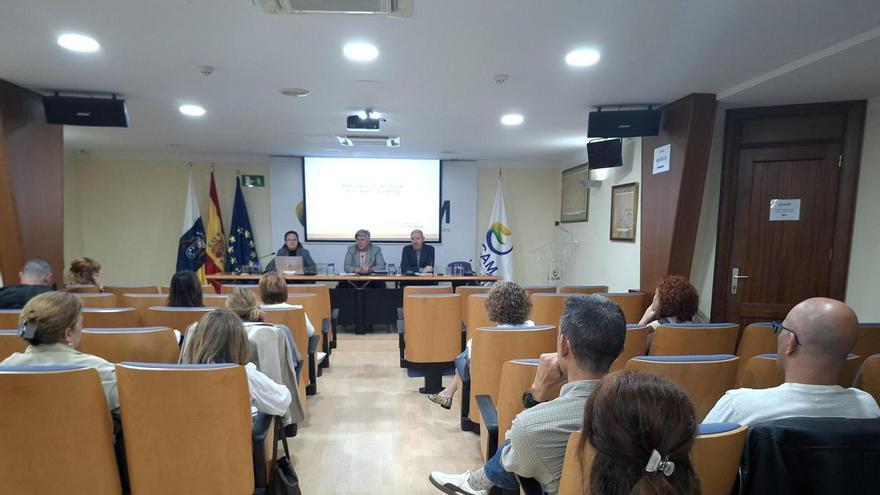 Прозорість влади на Тенеріфе: сайти працюють, але чиновники ігнорують запити громадян