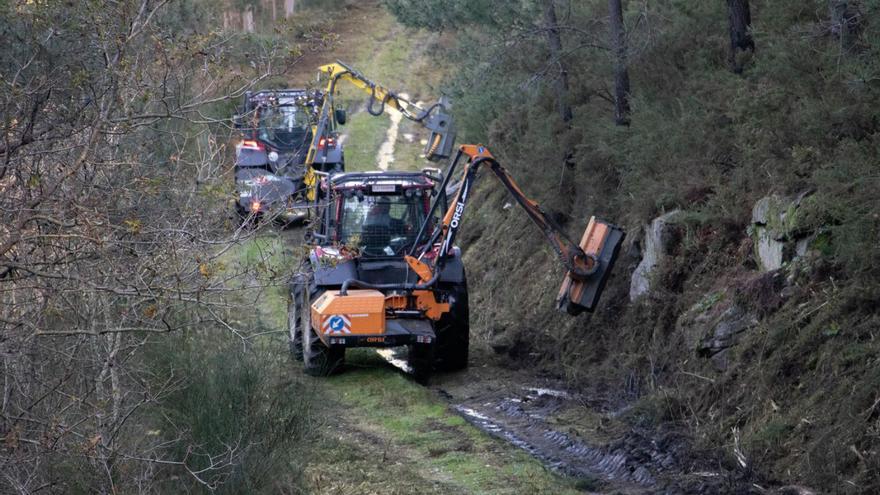 Medio Rural lanza 140.000 apercibimientos al año para limpiar las fincas de maleza