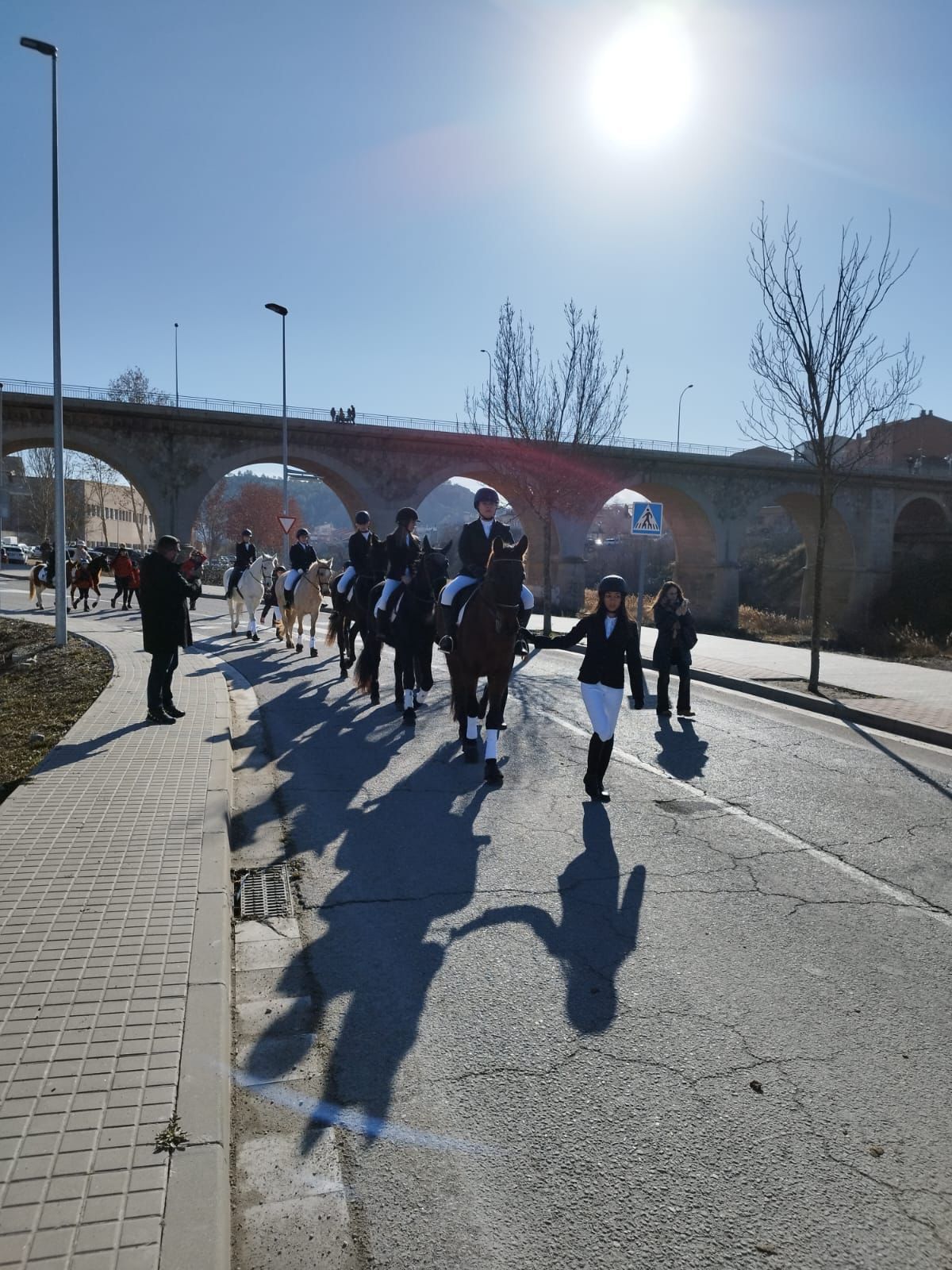 Els Tres Tombs d'Igualada porten una cinquantena de carruatges