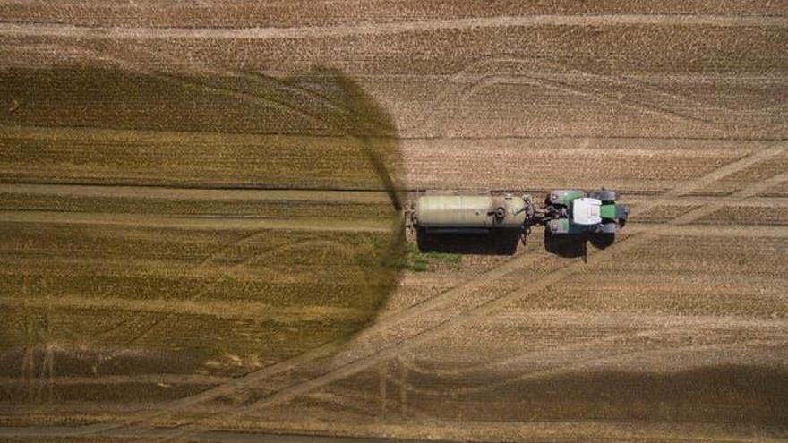 ¿Qué papel tiene la agricultura en la transmisión de la resistencia a antibióticos?