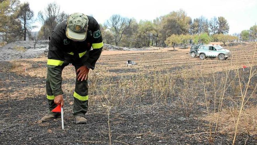 Els Agents Rurals investigant la zona on es va originar l&#039;incendi, a la finca de cal Rossinyol d&#039;Òdena