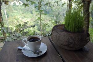 Kopi luwak (café de civeta, en indonesio), en una imagen de archivo. EFE/Paula Regueira Leal