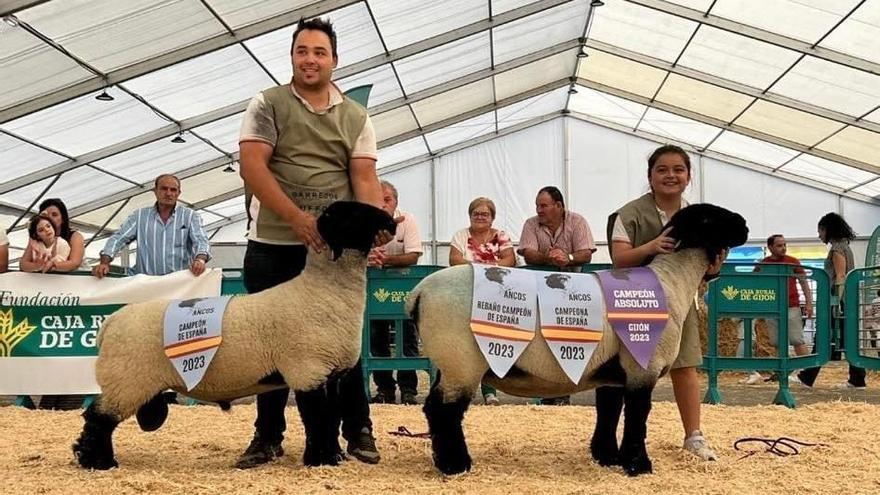 «Selena» y «Agoliom», los reyes de las Suffolk, son de Llanera y se coronaron en Agropec