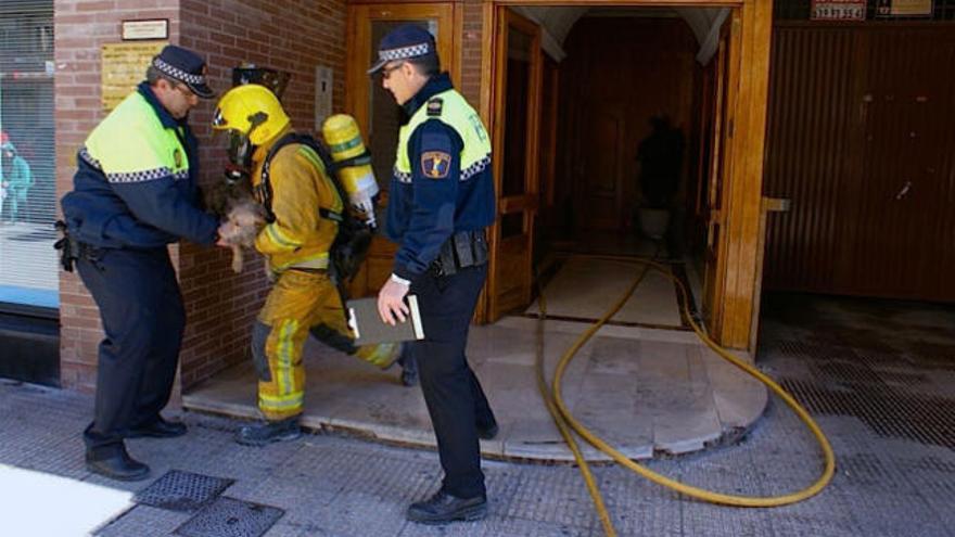 Los bomberos y la Policía evacúan a un perro del edificio