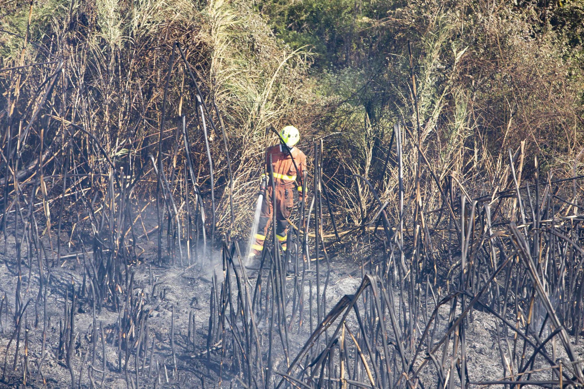 Los incendios de Ontinyent y L'Olleria movilizan una importancia dotación de bomberos y hasta 16 medios áreos