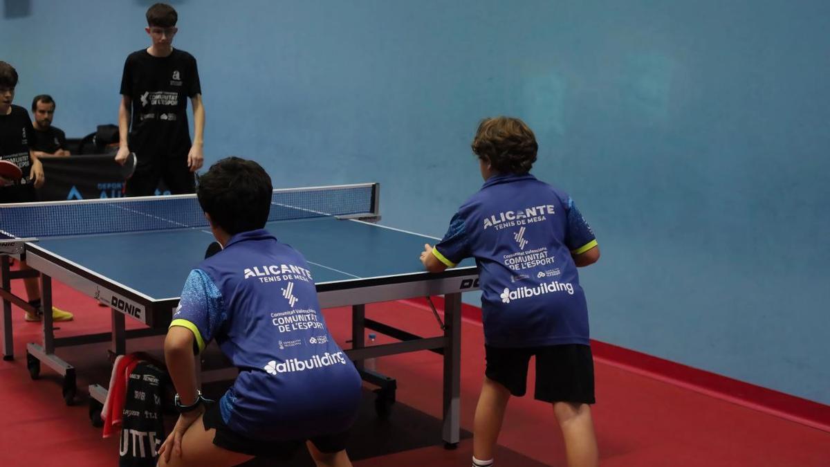 El Alicante Tenis de Mesa compite en Europa