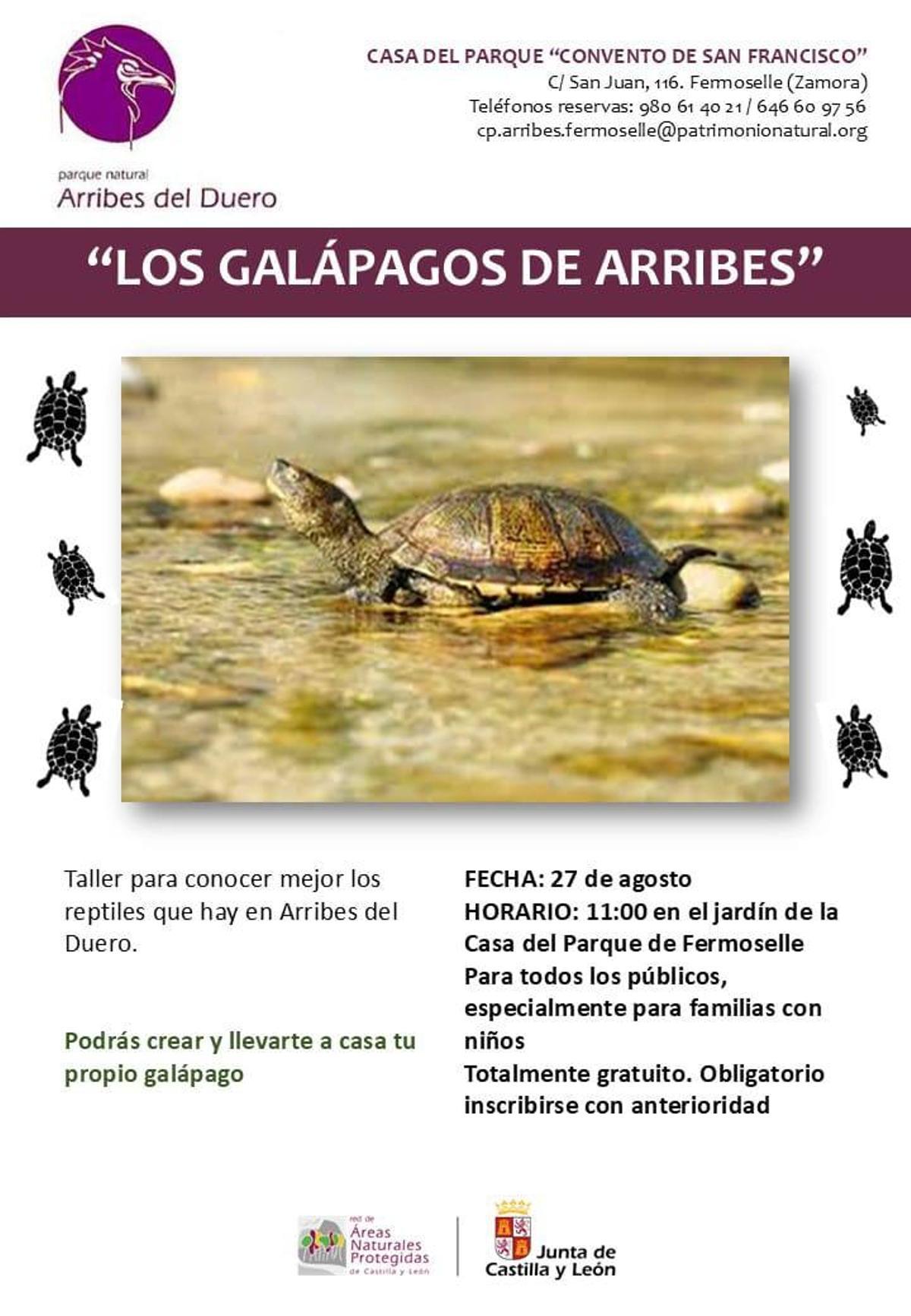 Fermoselle dedica una jornada a los galápagos de Arribes con un taller gratuito para toda la familia.