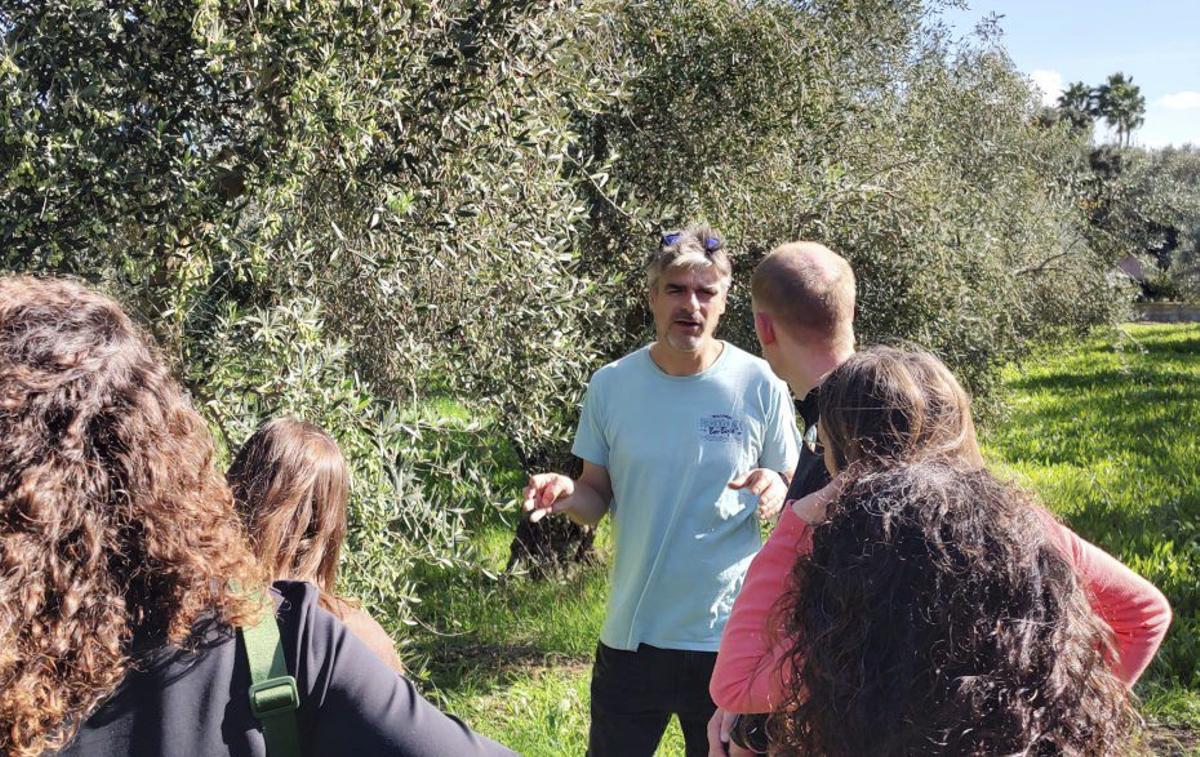 No faltaron explicaciones sobre el olivo y la aceituna