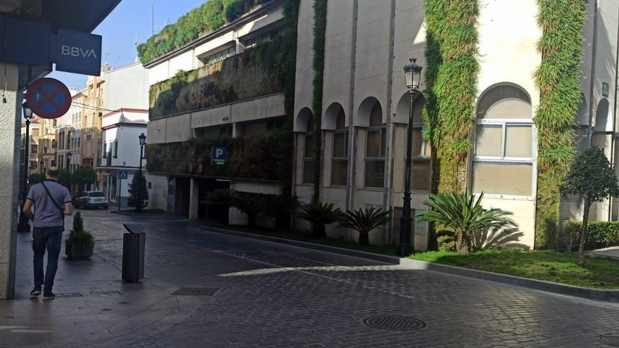 El gobierno municipal de Lucena estudia eliminar el jardín vertical del Ayuntamiento
