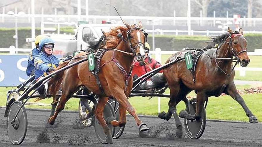 Lionel (6), con Örjan Kilhström, supera a Bold Eagle (11).