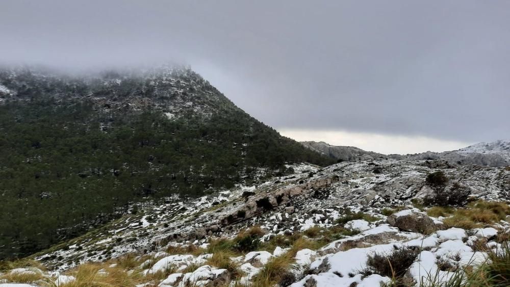 Schneefall auf Mallorca - Verkehrschaos in den Bergen