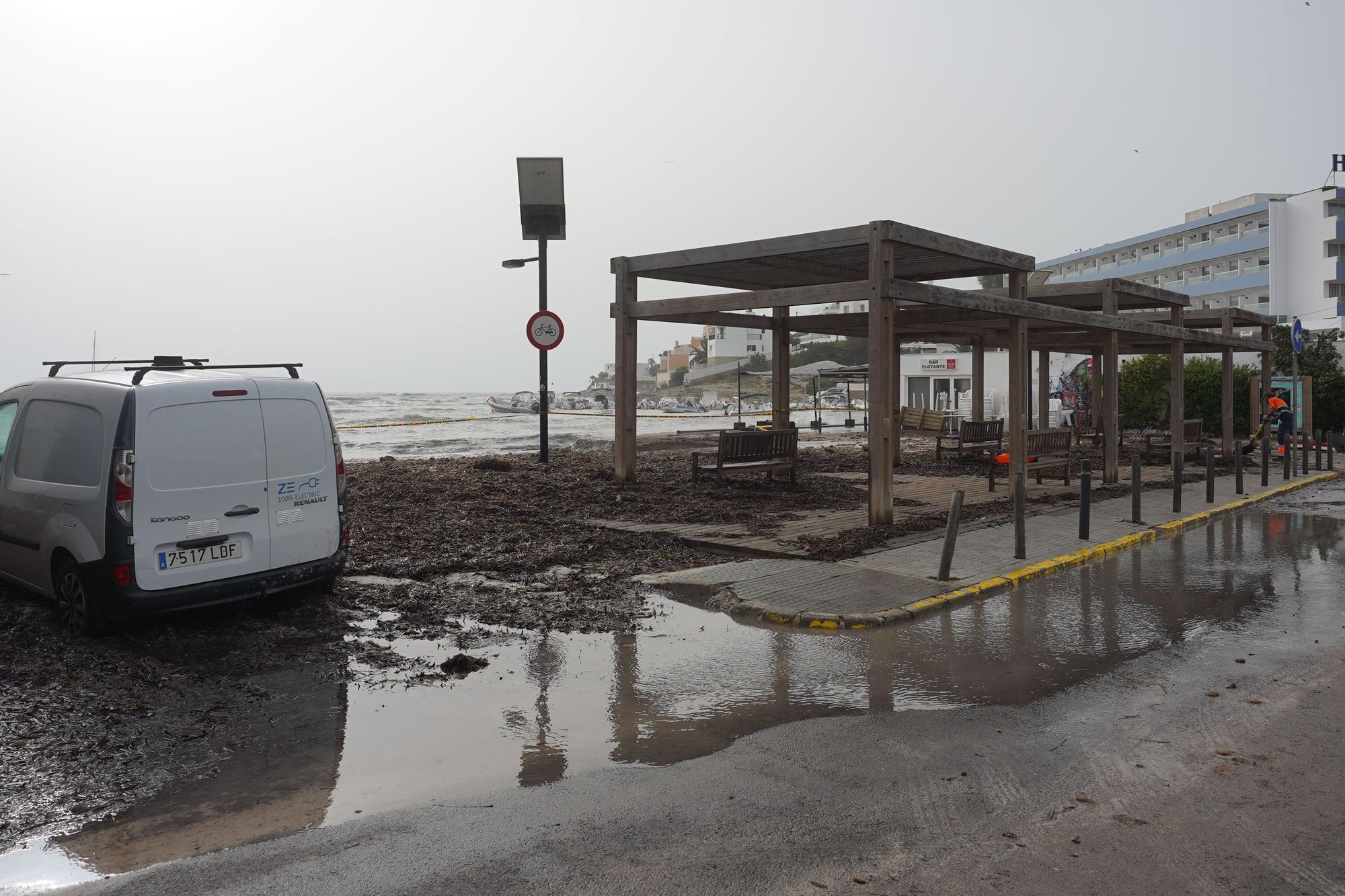 Así ha sido la jornada de limpieza de las playas de Ibiza después del temporal