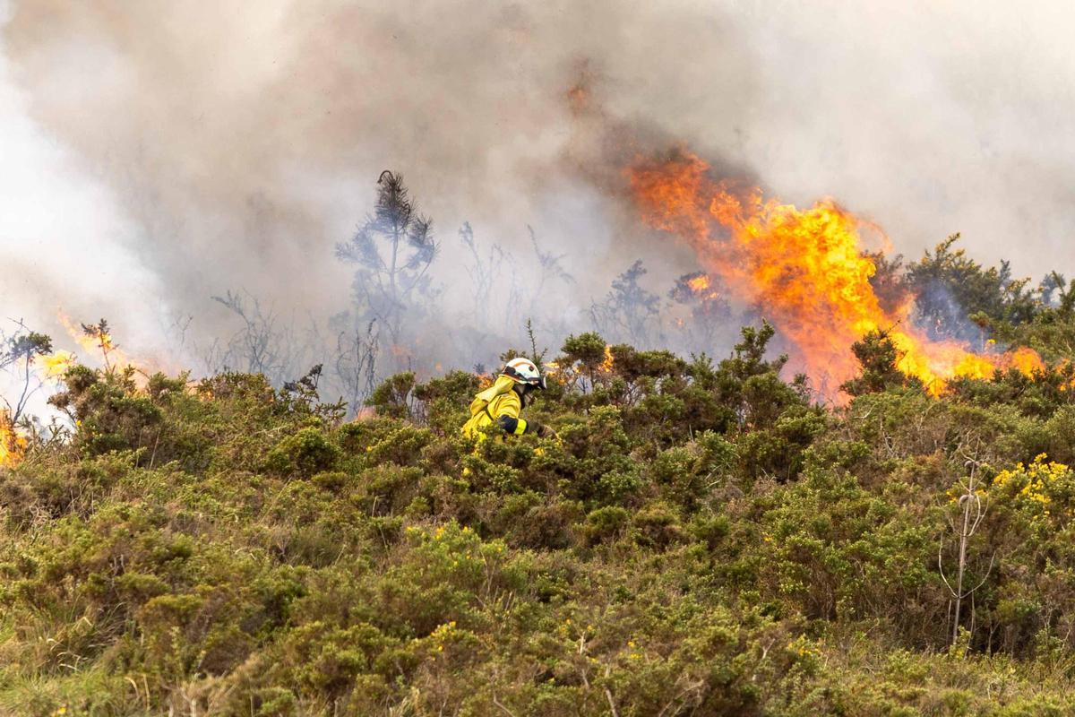 El fuego, un aliado en la prevención de las llamas: «Reduce la carga y nos da margen de seguridad
