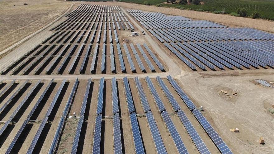 Red Eléctrica afirma que la saturación en Córdoba se debe a la avalancha de proyectos fotovoltaicos