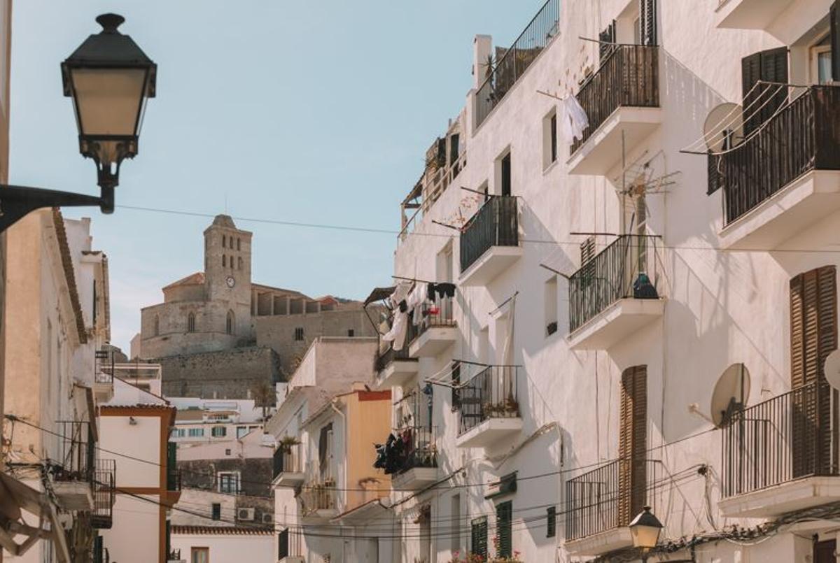 Durante todo el año se realizarán siete excursiones