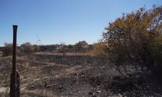 Vecinos de San Isidro exigen la limpieza de los solares del barrio