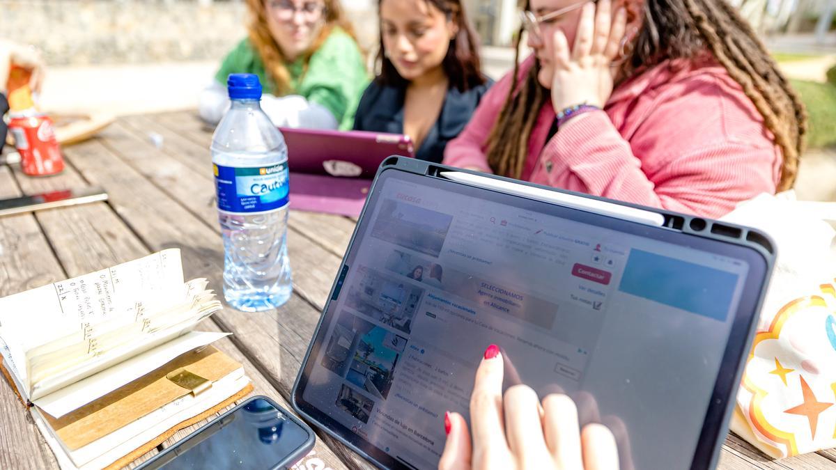 Estudiantes en la Facultad de Bellas Artes de Altea buscando en internet pisos de alquiler