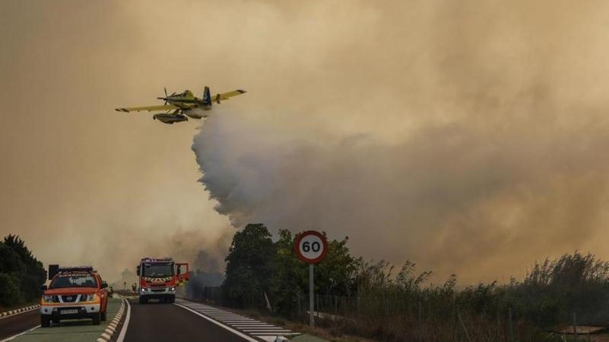 Un hidroavión descarga a la altura de la carretera del Saler
