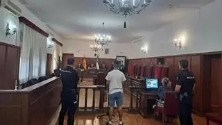 Cinco años de prisión para el acusado de provocar un fuego junto al puente Real de Badajoz el verano pasado