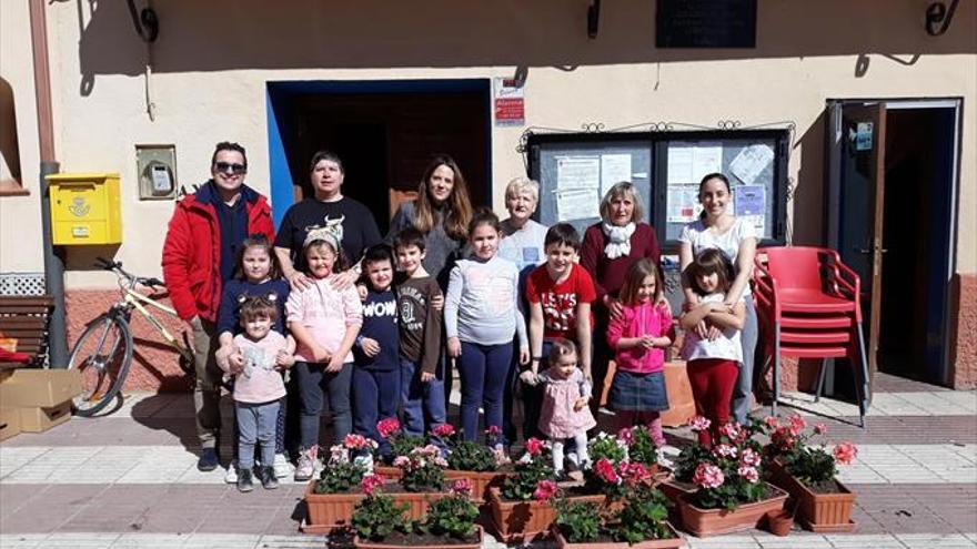 Flores nuevas en la plaza