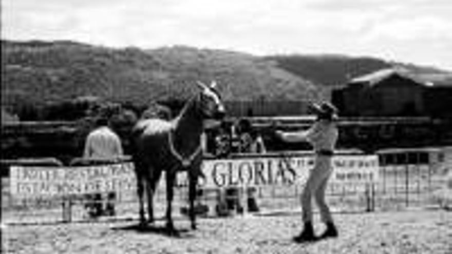 Javier Machuca gana en la XI Feria del Caballo