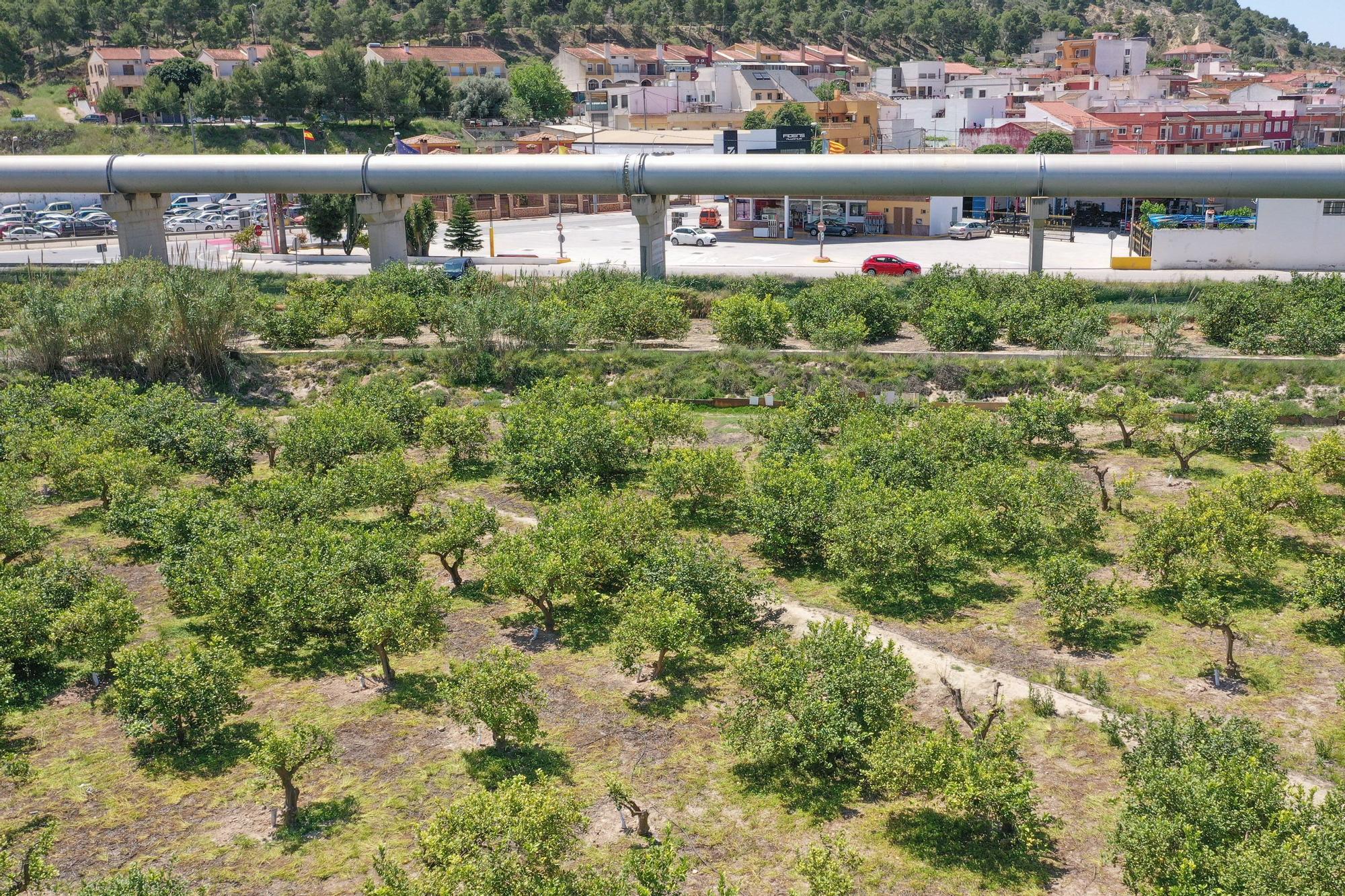 El PP propone que el Gobierno fije el precio del agua desalada en 0,30 euros el metro cúbico