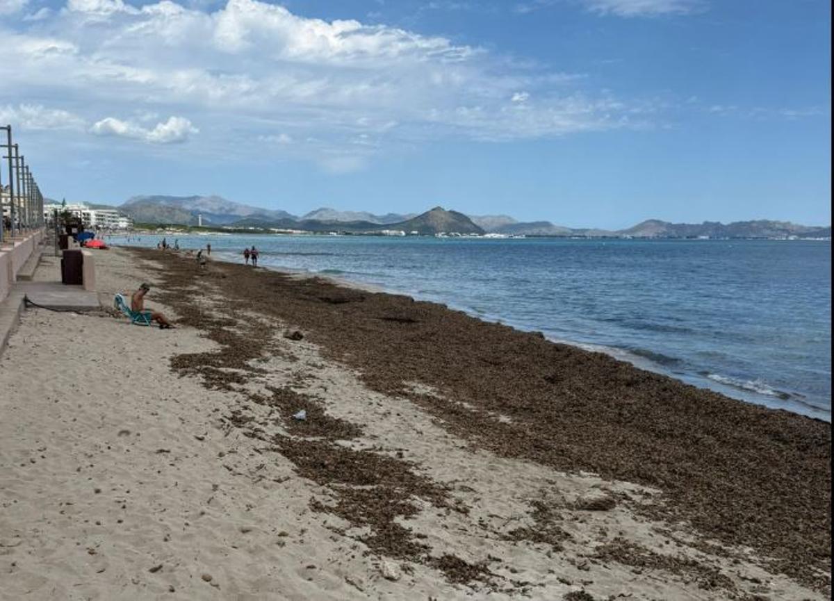 Los empresarios denuncian la situación "insostenible" de las playas con la temporada turística ya iniciada.