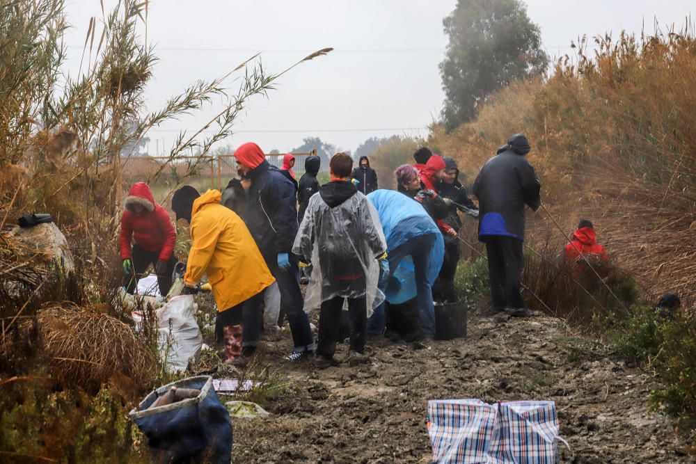 Retiran diez toneladas de residuos en el azarbe de Pineda