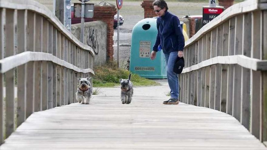 Isabel Menéndez, con sus perros &quot;Dago&quot; y &quot;Cari&quot;, ayer, en la pasarela de acceso a la playa de San Juan.