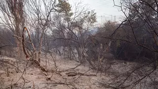 Muere el hombre que resultó ayer herido en el incendio ya "perimetrado" de Madrid