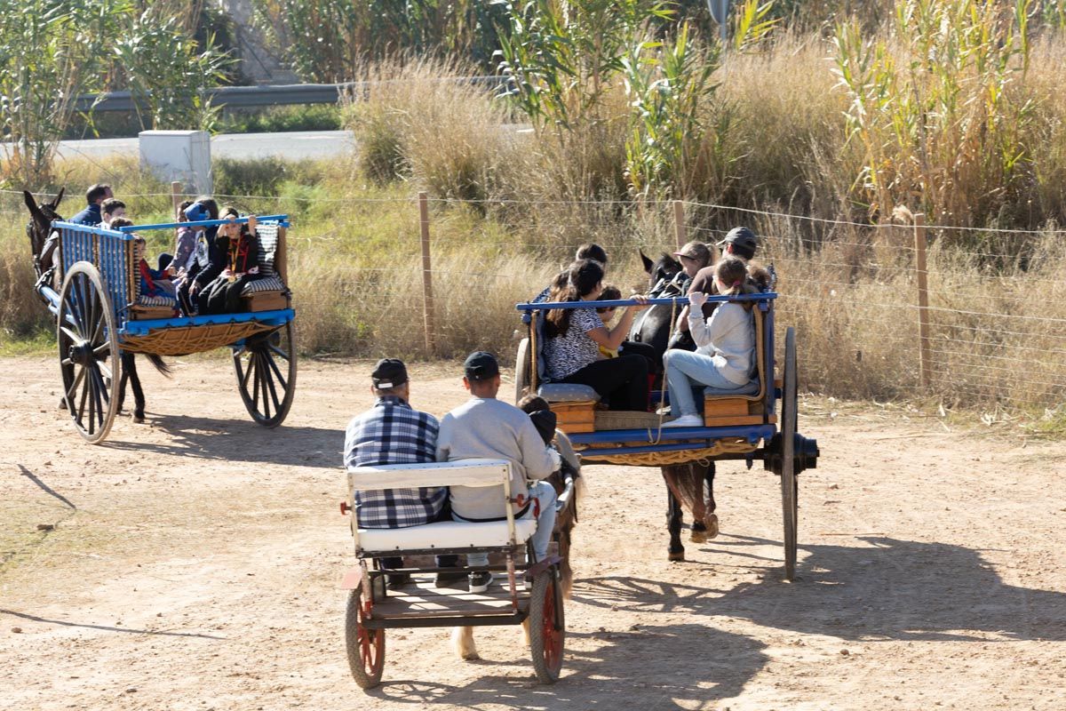 Todas las imágenes de la celebración de Sant Antoni Rural