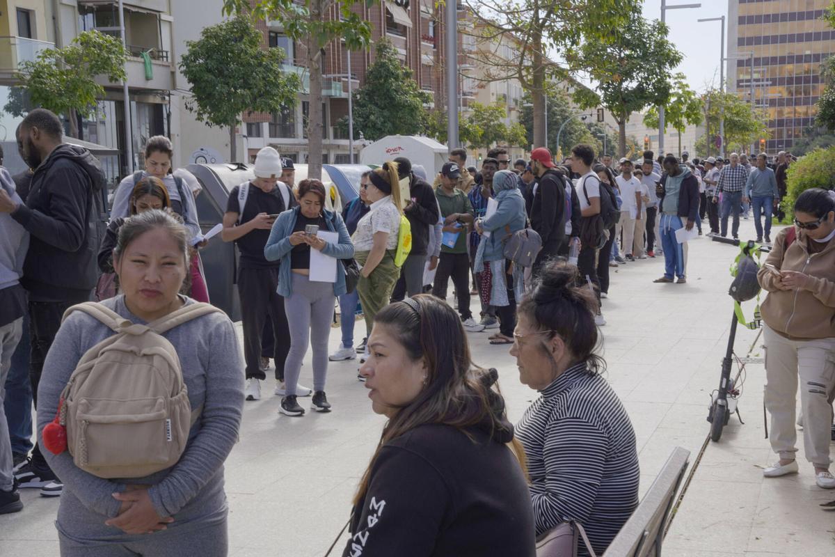 Largas colas en Palma para obtener el informe de vulnerabilidad Largas colas en Palma para obtener el informe de vulnerabilidad