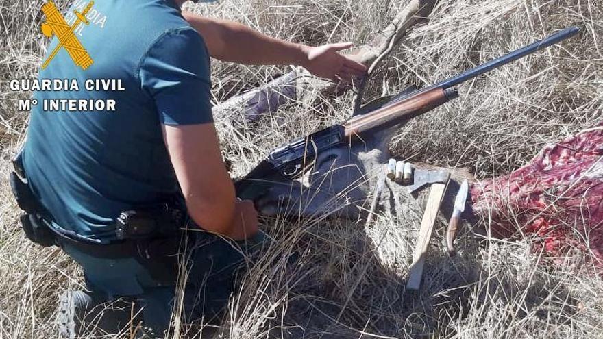 Investigan a un furtivo por abatir y despiezar un ciervo en el embalse de Gargaligas